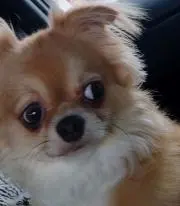 tugumi