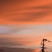 やまともの画像