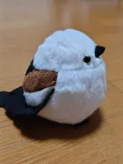 蒼いフクロウの画像