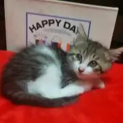 はるちゃん
