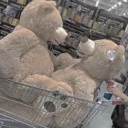 りーたんの画像