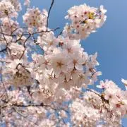USGの画像