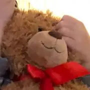 くまくん