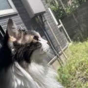 amiの画像