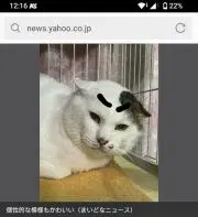 合同会社　どら猫商会　プロフも見てね！の画像