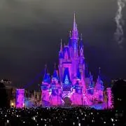 Nicoの画像