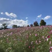 えーの画像