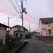 ゆき