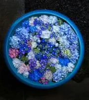 ちよの画像