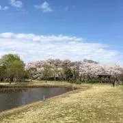 minakot