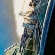 リブ