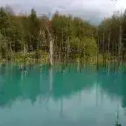 ノブの画像