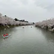 しー　断捨離中