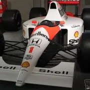 青葉区のセナの画像