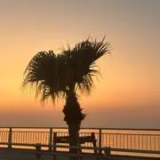 マナトの画像
