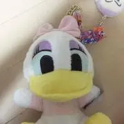 chi-   プロフ必須！の画像