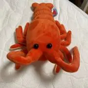 ダイタケ