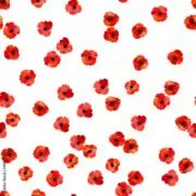poppyの画像