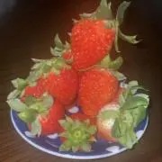 れいりの画像