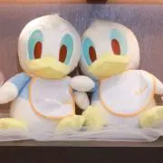 きんの画像