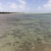 りよ(プロフ一読必須)の画像