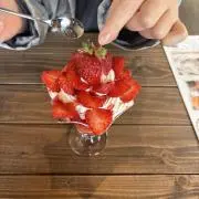 ころんの画像
