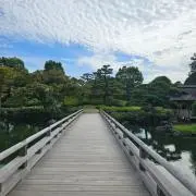 sakoの画像