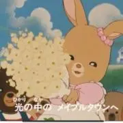 パンテーン