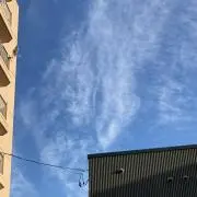 ニコ