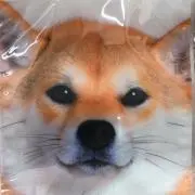 @@@