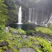 ロードタピオの画像