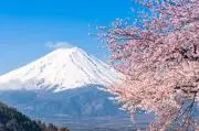 としくんの画像