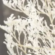 maiko＊断捨離中につき値下げしてますの画像