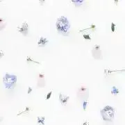 yuの画像