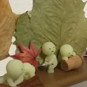 Image of きらきらひかる