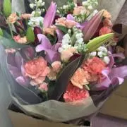 メーテル