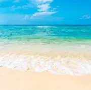 ティファニーの画像