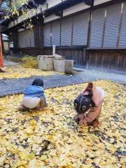 ROLママの画像