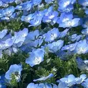 ぴょん　断捨離中の画像
