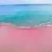 きょんぴーの画像
