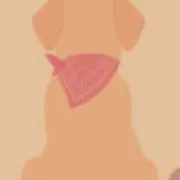 りゅうっちの画像