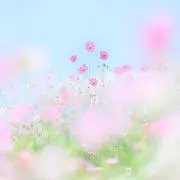 まゆ♡の画像