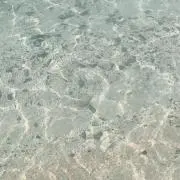 みみ
