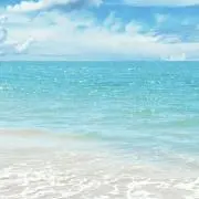 kana即時発送★即時購入OK★セール中の画像