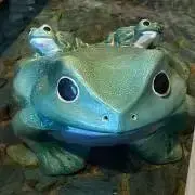 かんちゃんの画像