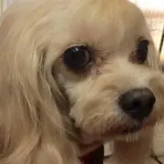きょういち