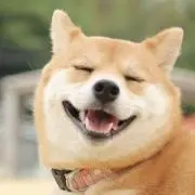 いちの画像