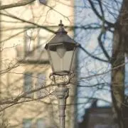 みの画像