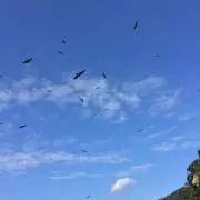 さざなみの画像
