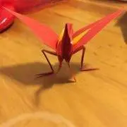 Mayの画像